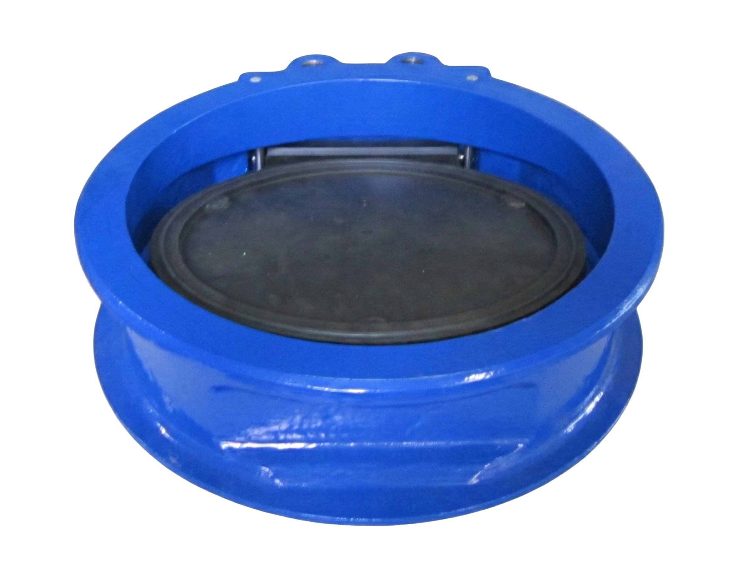 PSA-ELA® Rückflußsperre Typ K – Bild 6